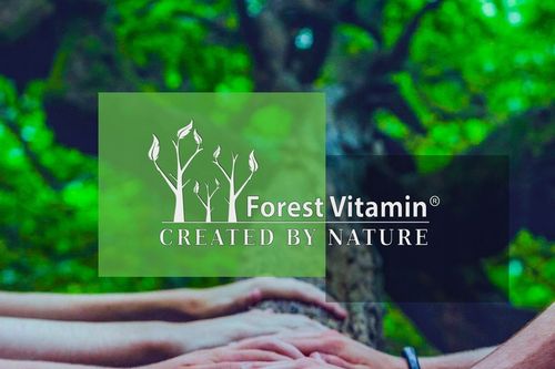 PURE CREATINE 500g KREATYNA MONOHYDRAT SIŁA MASA na Arena.pl