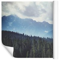 Fototapeta 3D Las we Mgle Góry PEJZAŻ do Salonu 400x280