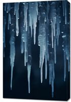 Obraz 60x90cm Zimowy Szept