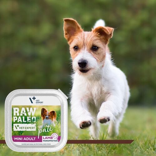 Mokra karma dla psów dorosłych małych ras jagnięcina Raw Paleo Pate 12x150g na Arena.pl
