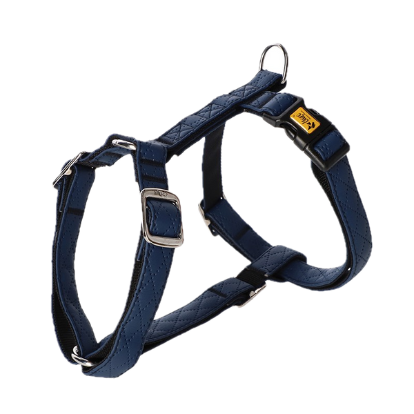 Szelki dwupaskowe Guard Terra Ocean, rozm. M zdjęcie 1