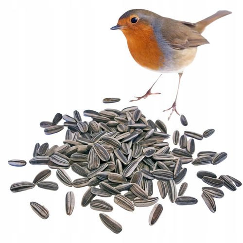 20kg Słonecznik Czarny nie Łuskany Ziarno na Zimę Karmnik dla Ptaków Champi na Arena.pl