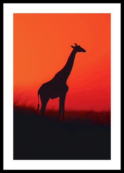 Plakat 30x45cm Żyrafa w Czerni zdjęcie 3