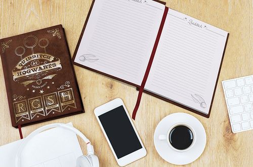 HARRY POTTER - Notes Quidditch na Arena.pl