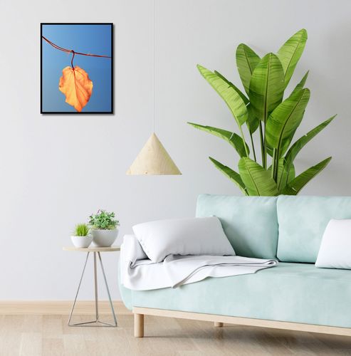 Plakat 40x50cm Ostatni Liść na Arena.pl