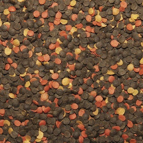 tropical malawi chips 5000ml na Arena.pl