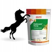 Elektrodol Horse Elektrolit dla Koni z Witaminą C na odporność Dolfos 1kg