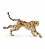 Gepard grzywiasty biegnący