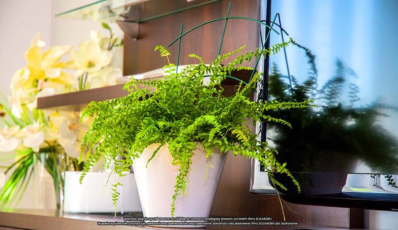 Podpora doniczkowa [2173], ELGarden zdjęcie 3