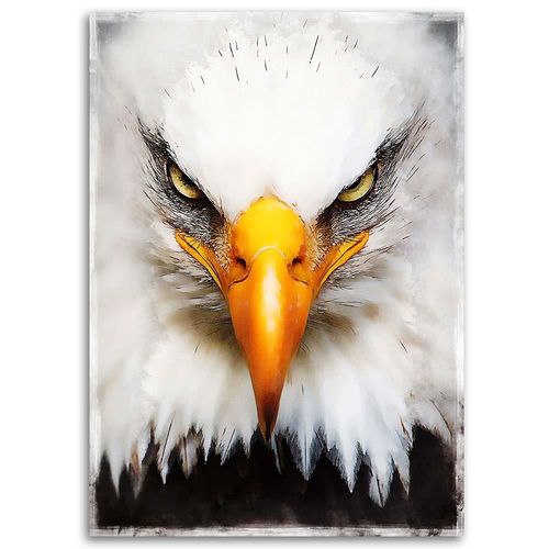 Deco Panel, Orzeł bielik 40x60 na Arena.pl