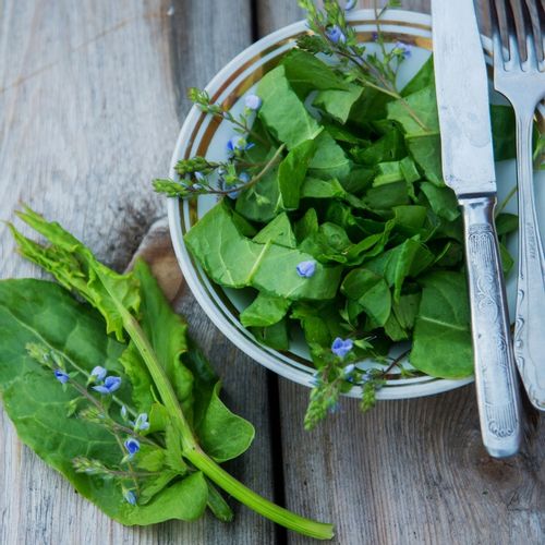 ODCHUDZANIE zioła na OTYŁOŚĆ APETYT ZATRZYMANIE WODY cukier GURMAR na Arena.pl