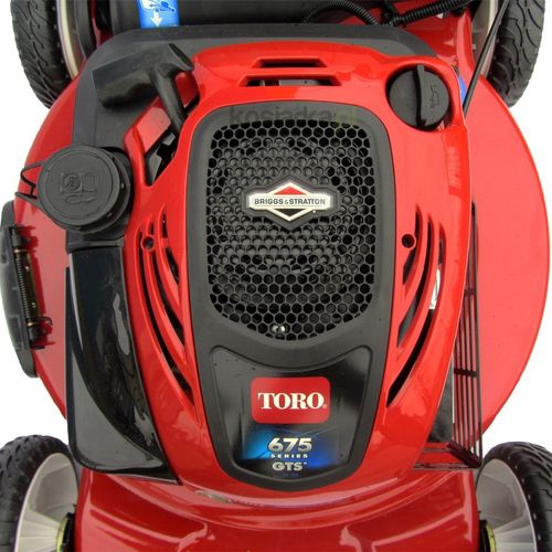 TORO 20956 na Arena.pl