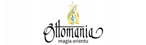 NASZYNIK SREBRNY ŁAŃCUSZEK Z CZERWONYM GRANATEM na Arena.pl