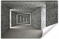 Fototapeta Do Salonu Kamienny TUNEL Abstrakcja Efekt 3D 405cm x 270cm