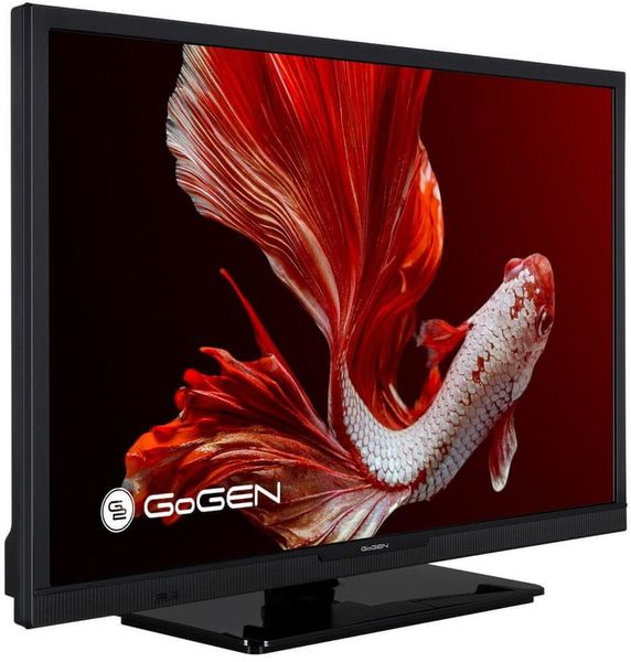 Telewizor LED 24'' HD Ready USB HDMI DVB-T2 CI zdjęcie 13
