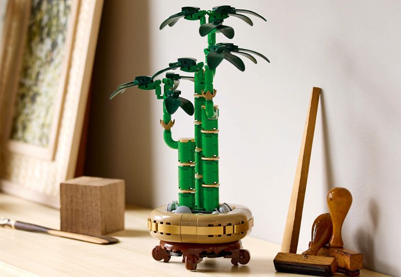 LEGO Botanical Collection Dracena sandera w doniczce 10344 zdjęcie 10