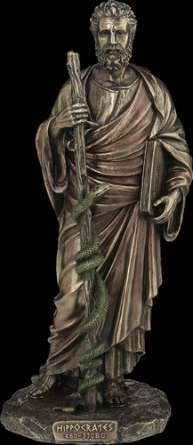 HIPOKRATES VERONESE  (WU77124A4) na Arena.pl