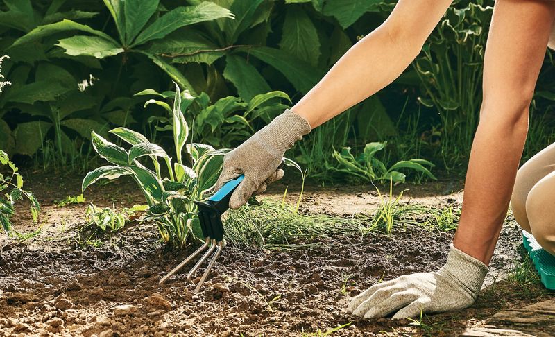 Kultywator mały Cellfast Energo zdjęcie 4