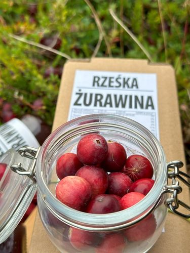 sok z żurawiny 100% żurawinowy żurawina NFC 1,5L bez chemii prozdrowotny na Arena.pl