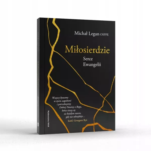 Miłosierdzie Serce Ewangelii zdjęcie 2