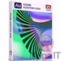 Audition 2020 - Licencja Wieczysta (LifeTime) - Windows - Licencja Biznes - BOX (ESD)