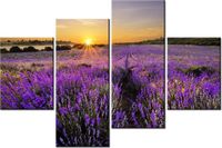 product-compare-58705900