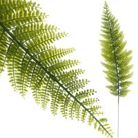 Paproć Jak Żywa Sztuczna Paprotka Gałązka Silikonowy Liść Na Piku 50 Cm