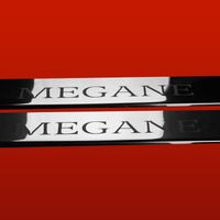 Listwa progowa RENAULT MEGANE MK2 Stal nierdzewna 304 połysk 2szt