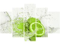 product-compare-58677771