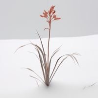 product-compare-59356747