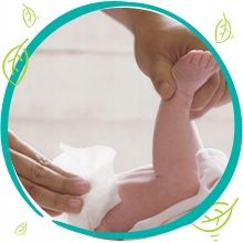 Chusteczki nawilżane Pampers Sensitive 15 x 80 szt. na Arena.pl