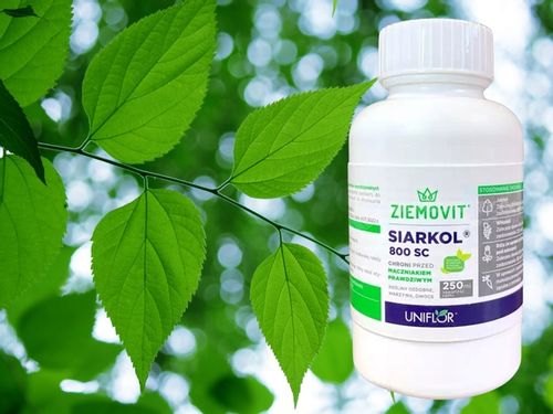 SIARKOL 800 SC SIARKA ŚRODEK GRZYBOBÓJCZY NA MĄCZNIAKA PRAWDZIWEGO 250ML na Arena.pl