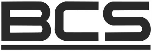 Kamera BCS BASIC BCS-B-EIP15FR3(2.0) na Arena.pl