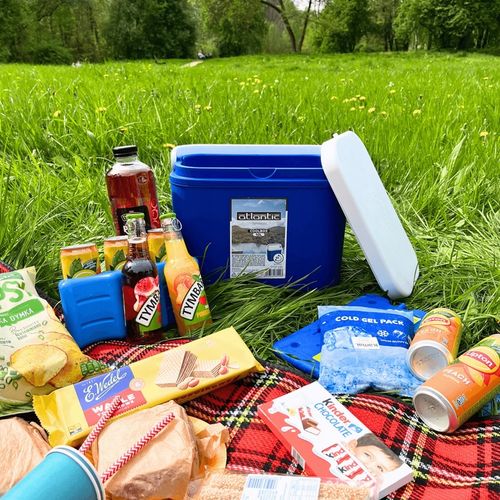 LODÓWKA TURYSTYCZNA 10L na WKŁADY MROŻĄCE do auta KAMPERA łodzi piknik na Arena.pl