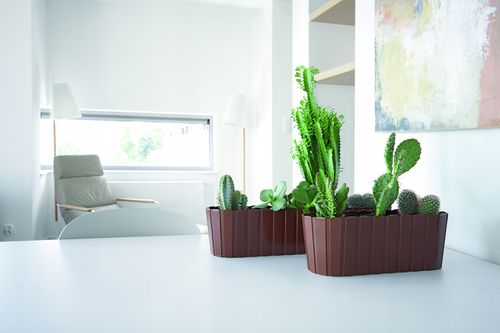 Doniczka podłużna Boardee Case DDEC600 | Antracyt na Arena.pl