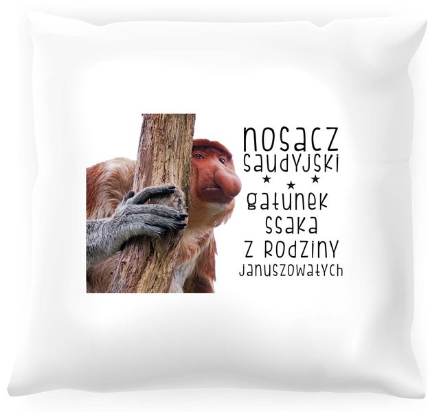 Poduszka z nosaczem -  Nosacz saudyjski zdjęcie 1