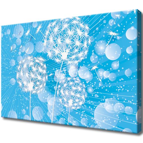 Obraz 60X40 Dmuchawce Abstrakcja Błękitne Tle na Arena.pl