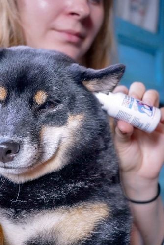 Safe Animals Ear Drops Krople ze srebrem do uszu 30ml na Arena.pl