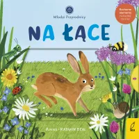 product-compare-62079101