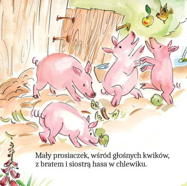 Zwierzątka Na Wsi W Wierszykach zdjęcie 4