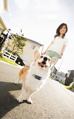 MINI LOKALIZATOR GPS TRACKER SINOTRACK ST904 PODSŁUCH SOS 15DNI 1200mah APP na Arena.pl