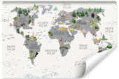 Fototapeta MAPA ŚWIATA Kontynenty Po Angielsku 360cm x 240cm
