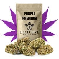 Susz konopny Purple Haze CBD PREMIUM 100g
