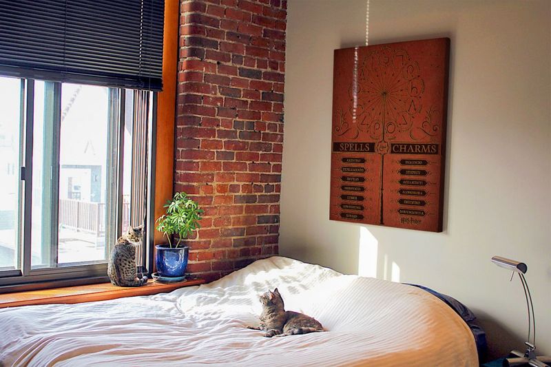 Harry Potter (Spells zdjęcie 3