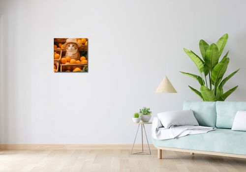 Obraz 40x40cm Kot w Pomarańczach na Arena.pl
