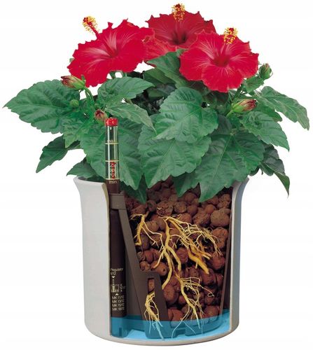 komplet do hydroponiki doniczka biała CORONA 15/19 na Arena.pl