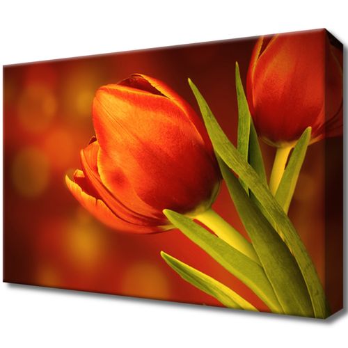 Fotoobraz 30X20 Czerwone Tulipany na Arena.pl