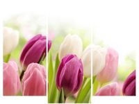 60 90CM OBRAZ 3 ELEM SOCZYSTE TULIPANY ŚCIENNY DRUK PŁÓTNO