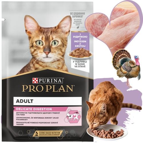 karma mokra dla kota purina pro plan z indykiem w sosie 85 g wrażliwe koty na Arena.pl
