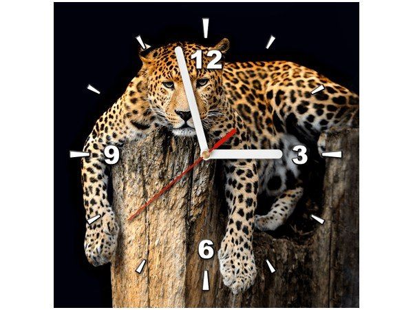 30x30cm Zegar ścienny Dziki kot lampart obraz drukowany podobrazie malowane zdjęcie 1